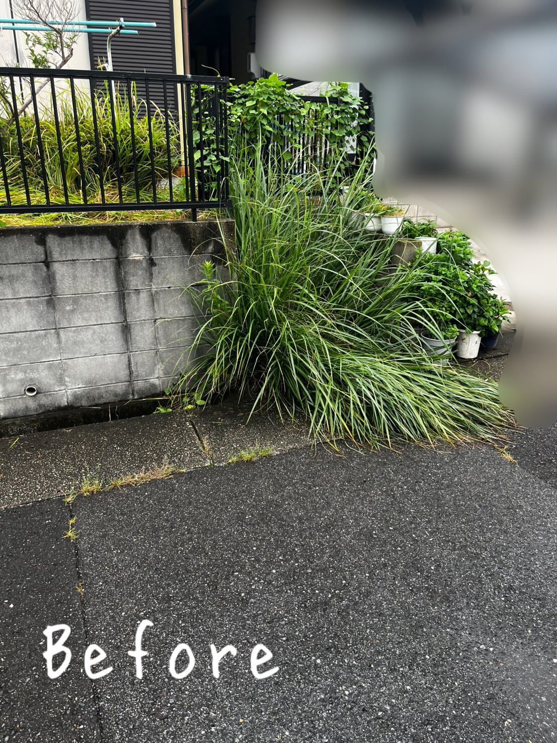 今回は、緑区 K様邸にて草刈り作業を行いました！