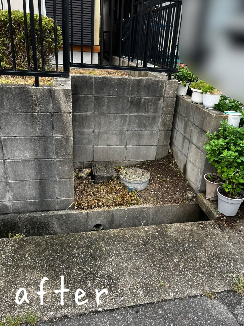 今回は、緑区 K様邸にて草刈り作業を行いました！