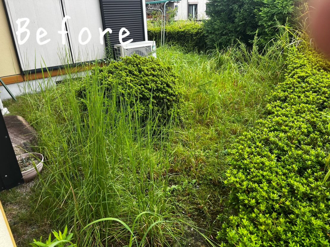 今回は、緑区 K様邸にて草刈り作業を行いました！