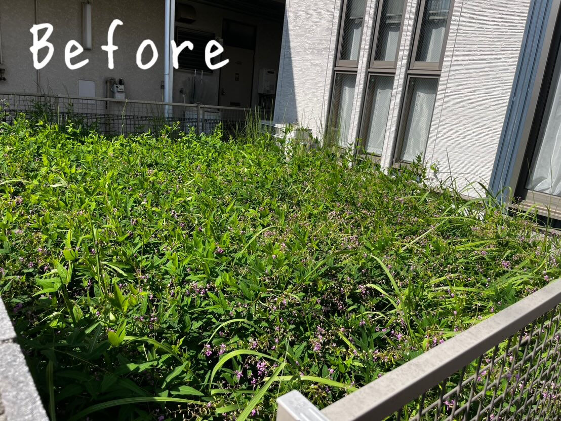 今回は、M区のT様邸にてお庭の草刈りを行いました！