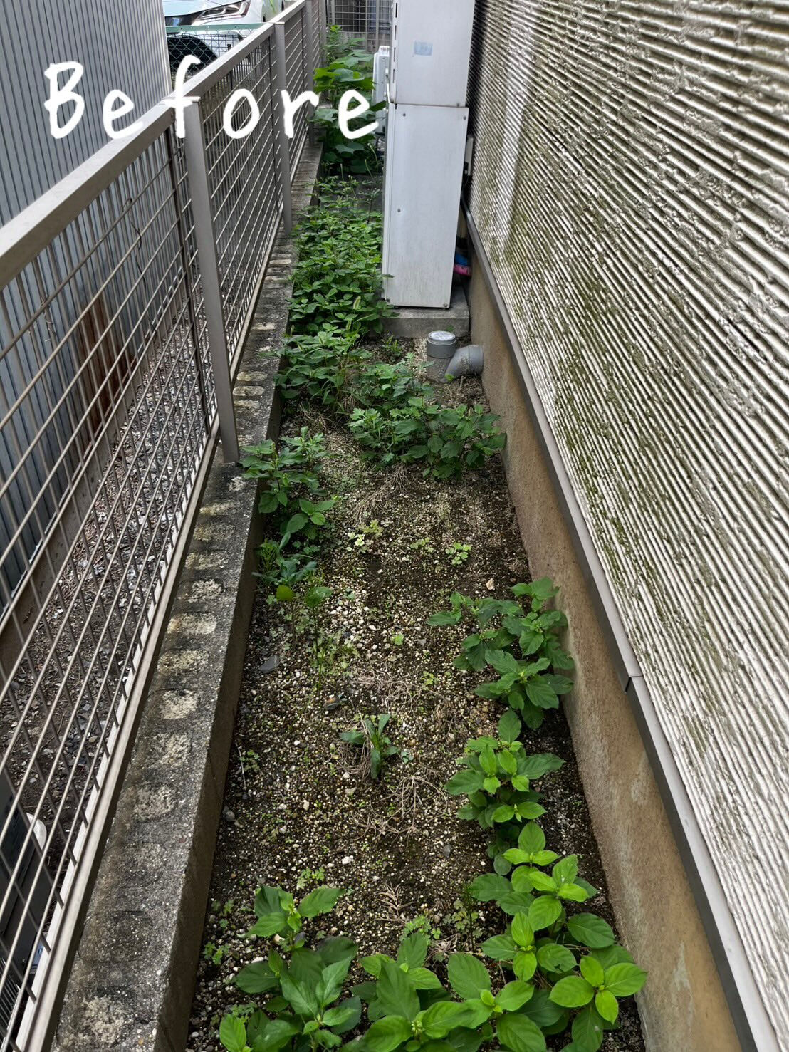 今回は、M区のT様邸にてお庭の草刈りを行いました！