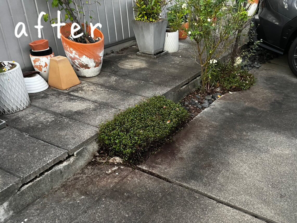 伸び切ってしまっていた生垣＆庭木をすっきりお手入れしました✂